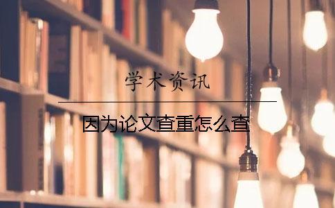 因為論文查重怎么查