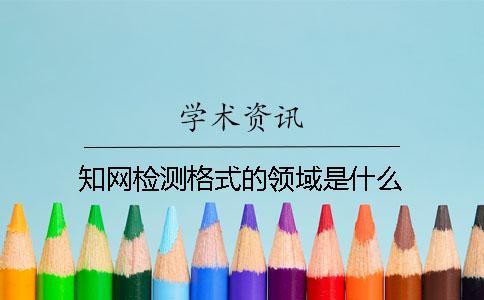 學術檢測格式的領域是什么？