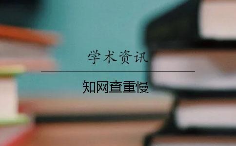 學術查重慢