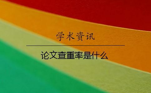 論文查重率是什么